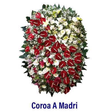 Coroa A Madri