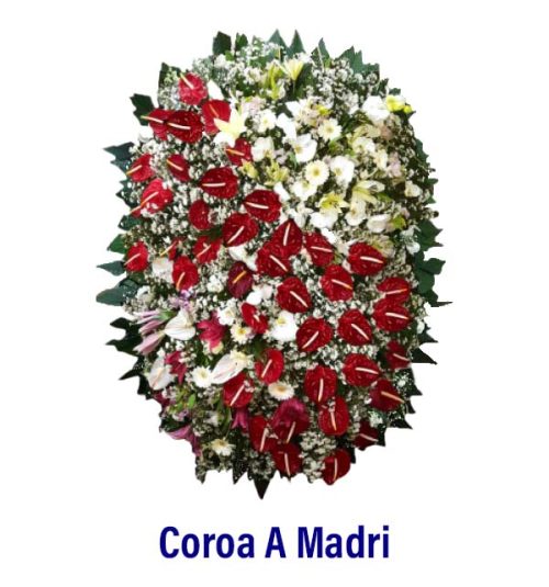 Coroa A Madri