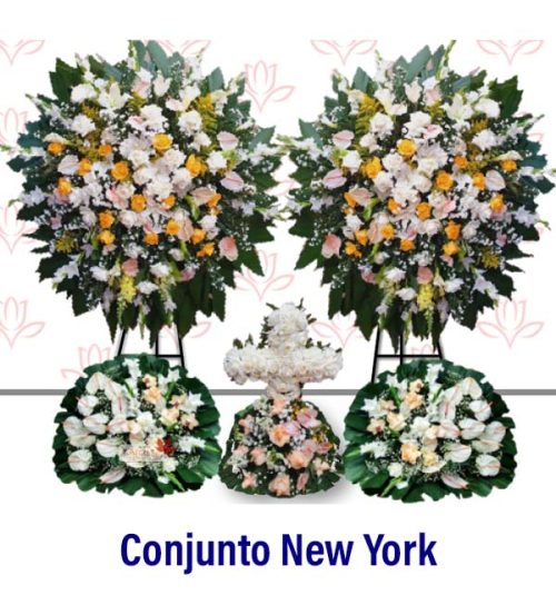 Conjunto New York