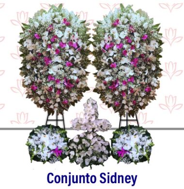 Conjunto Sidney