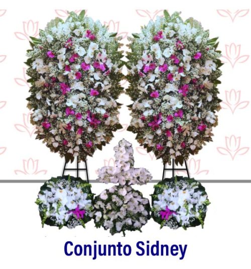 Conjunto Sidney