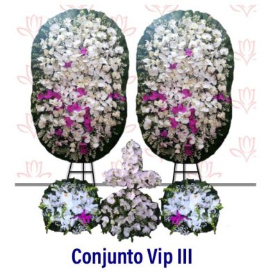 Conjunto Vip III