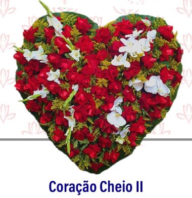 Coração Cheio II