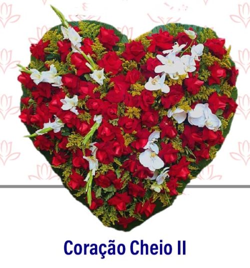 Coração Cheio II